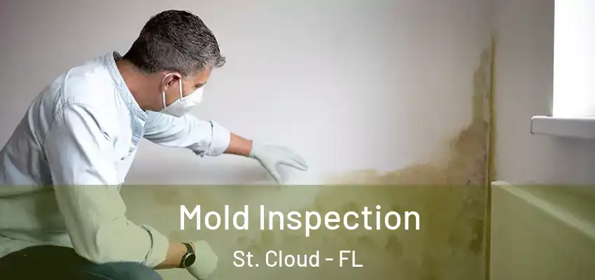  Mold Inspection St. Cloud - FL