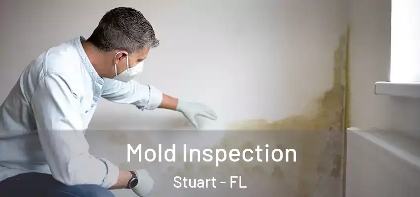  Mold Inspection Stuart - FL