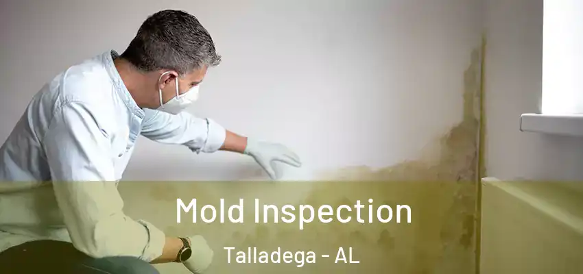  Mold Inspection Talladega - AL