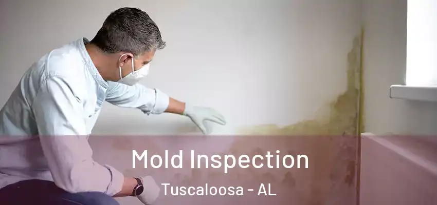  Mold Inspection Tuscaloosa - AL