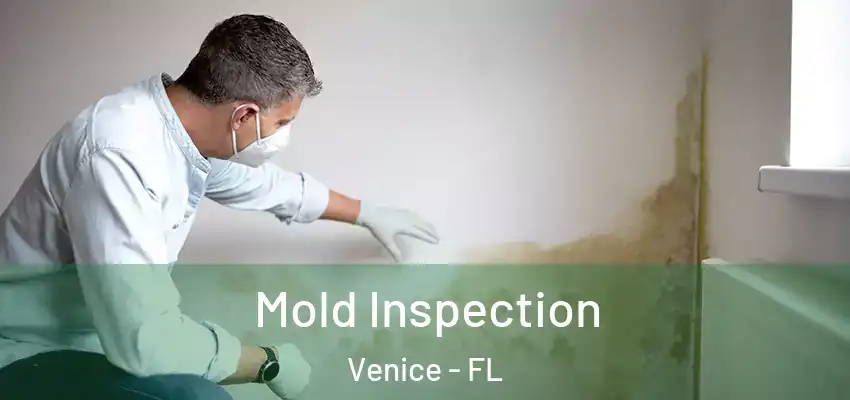  Mold Inspection Venice - FL