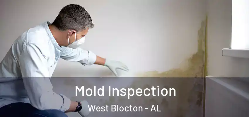  Mold Inspection West Blocton - AL