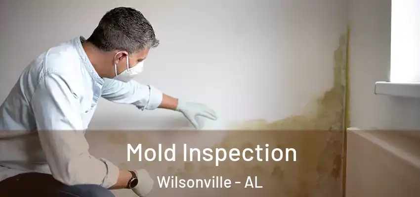  Mold Inspection Wilsonville - AL