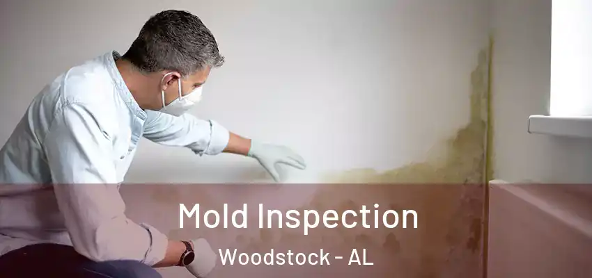Mold Inspection Woodstock - AL