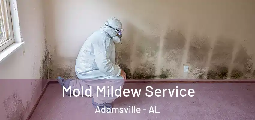 Mold Mildew Service Adamsville - AL