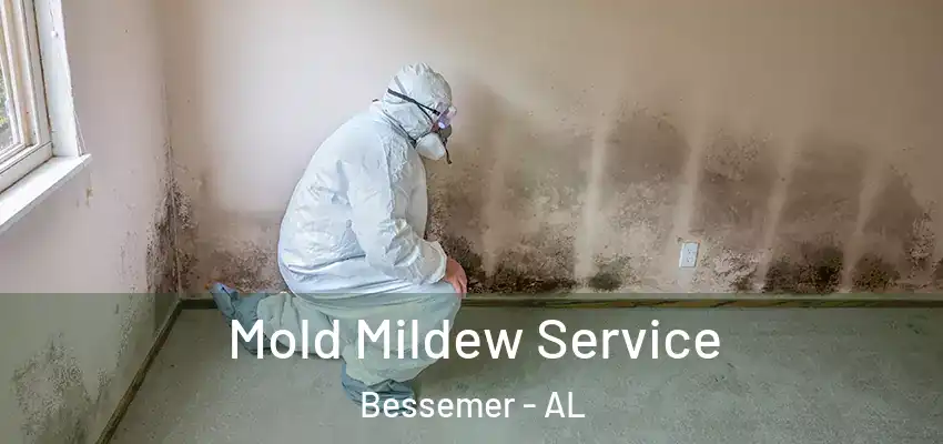  Mold Mildew Service Bessemer - AL