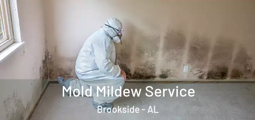 Mold Mildew Service Brookside - AL