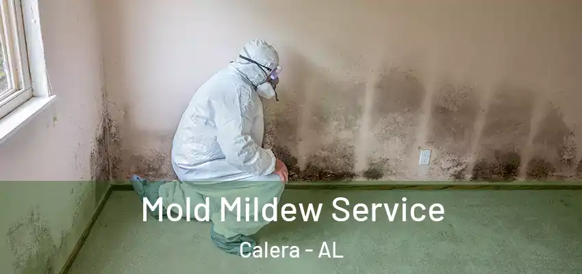  Mold Mildew Service Calera - AL