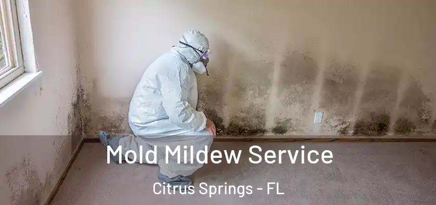  Mold Mildew Service Citrus Springs - FL