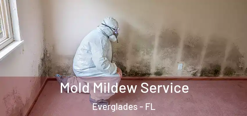  Mold Mildew Service Everglades - FL