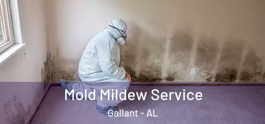  Mold Mildew Service Gallant - AL
