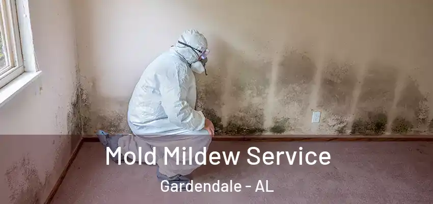  Mold Mildew Service Gardendale - AL