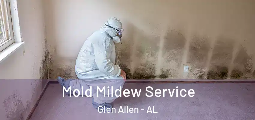 Mold Mildew Service Glen Allen - AL