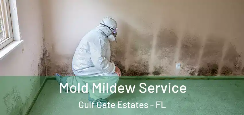  Mold Mildew Service Gulf Gate Estates - FL