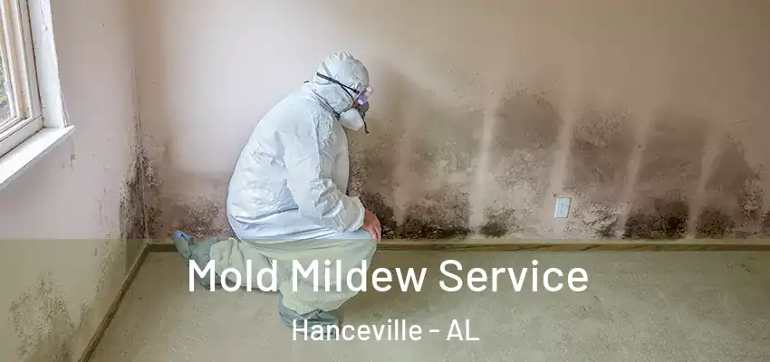  Mold Mildew Service Hanceville - AL