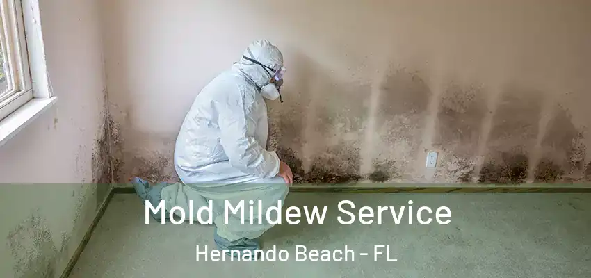 Mold Mildew Service Hernando Beach - FL
