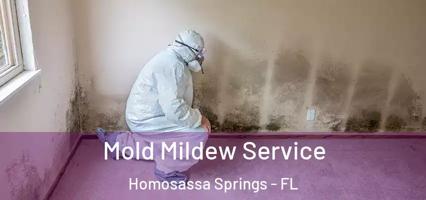  Mold Mildew Service Homosassa Springs - FL