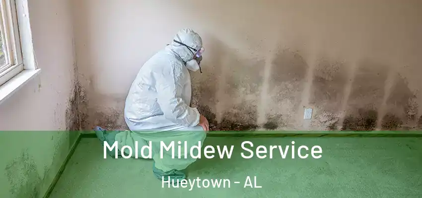 Mold Mildew Service Hueytown - AL