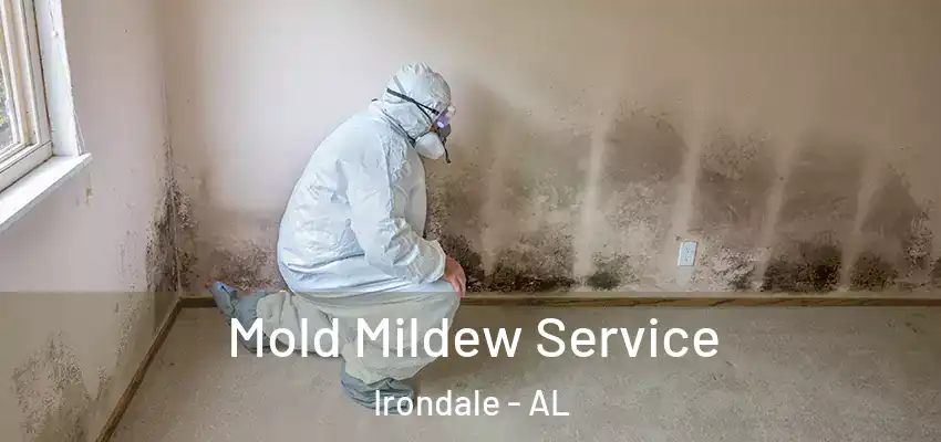  Mold Mildew Service Irondale - AL