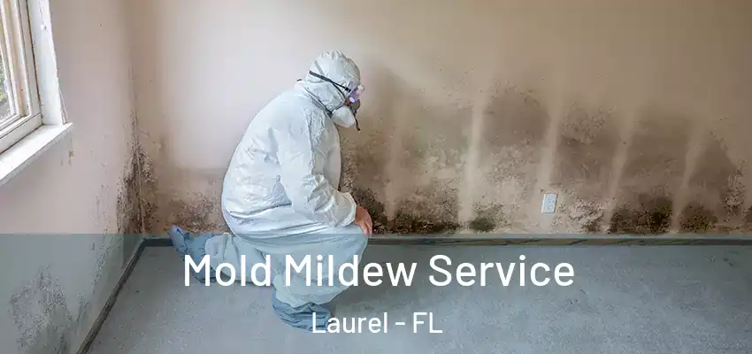  Mold Mildew Service Laurel - FL