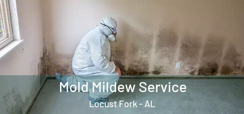  Mold Mildew Service Locust Fork - AL