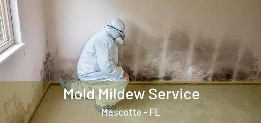  Mold Mildew Service Mascotte - FL