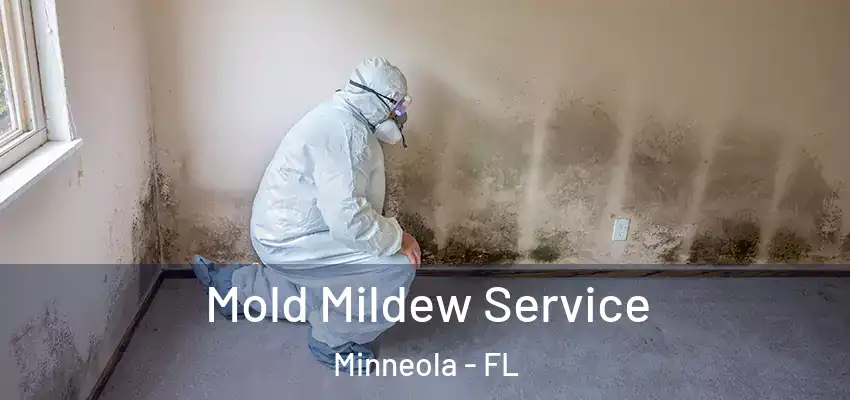  Mold Mildew Service Minneola - FL