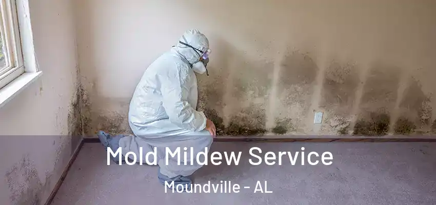 Mold Mildew Service Moundville - AL