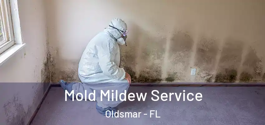  Mold Mildew Service Oldsmar - FL