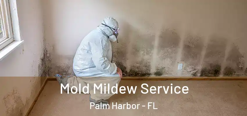 Mold Mildew Service Palm Harbor - FL