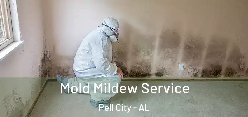  Mold Mildew Service Pell City - AL
