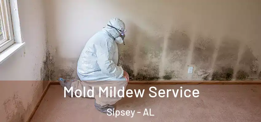  Mold Mildew Service Sipsey - AL