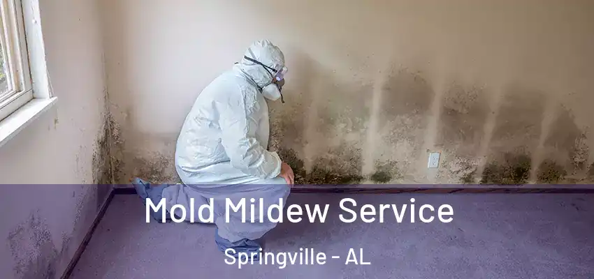  Mold Mildew Service Springville - AL