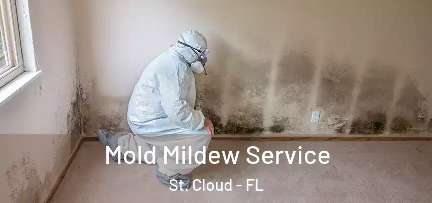  Mold Mildew Service St. Cloud - FL