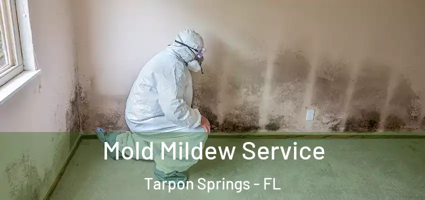 Mold Mildew Service Tarpon Springs - FL