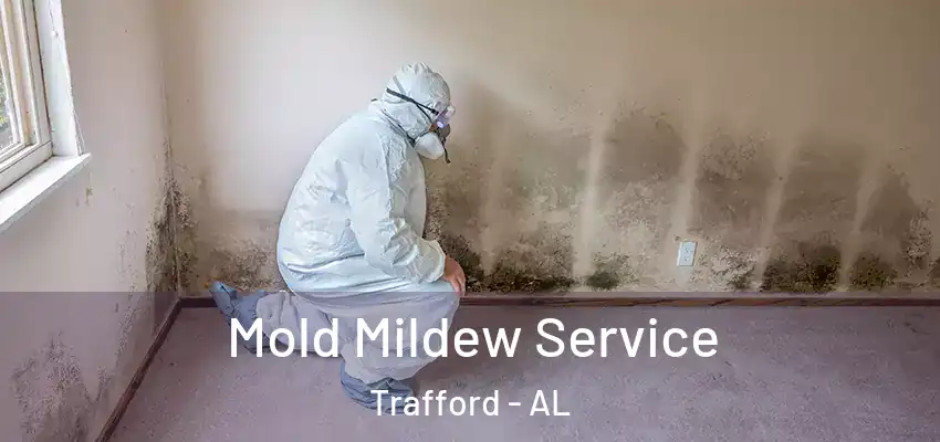  Mold Mildew Service Trafford - AL