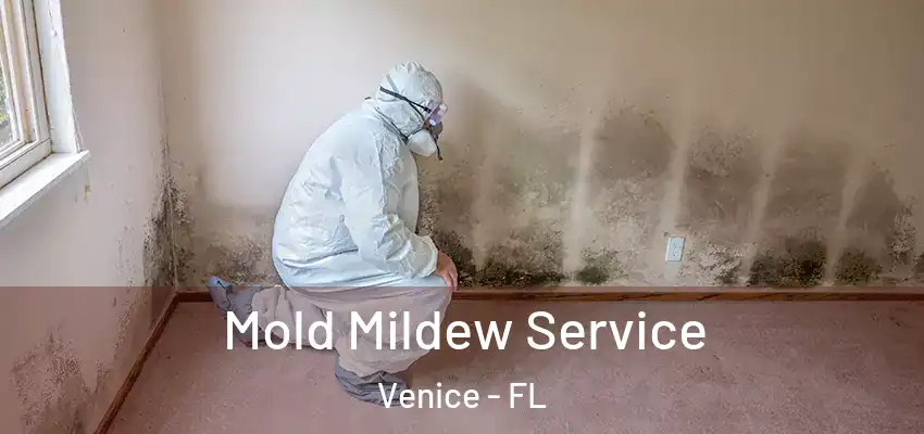  Mold Mildew Service Venice - FL