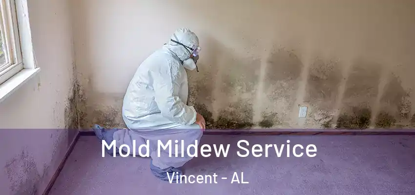  Mold Mildew Service Vincent - AL