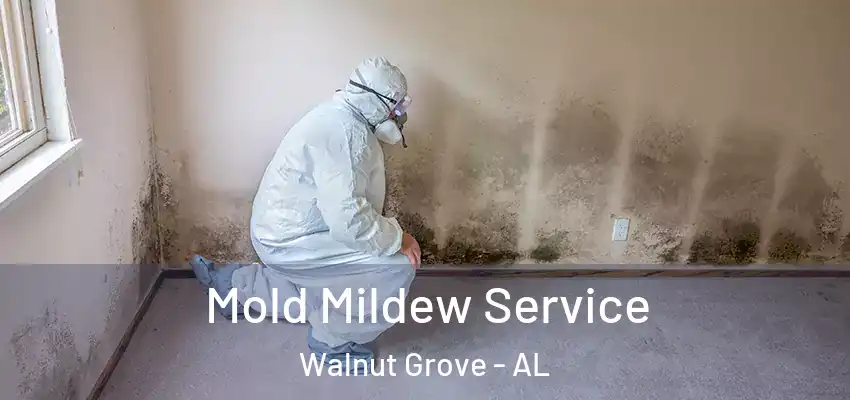  Mold Mildew Service Walnut Grove - AL