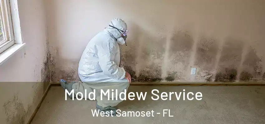  Mold Mildew Service West Samoset - FL