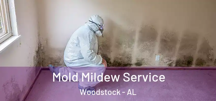  Mold Mildew Service Woodstock - AL