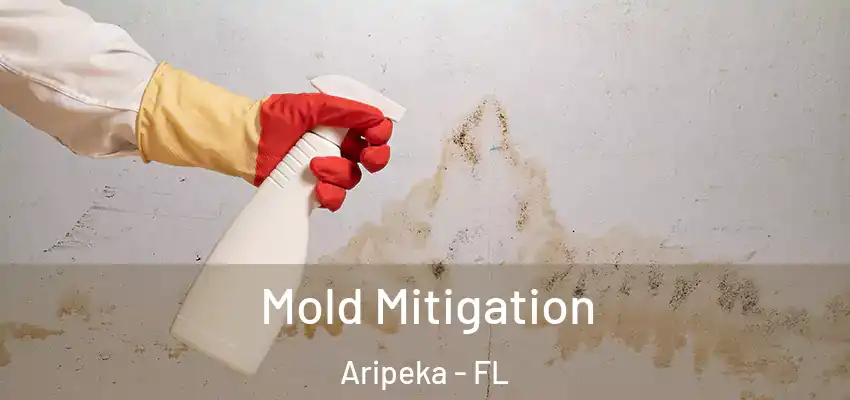  Mold Mitigation Aripeka - FL