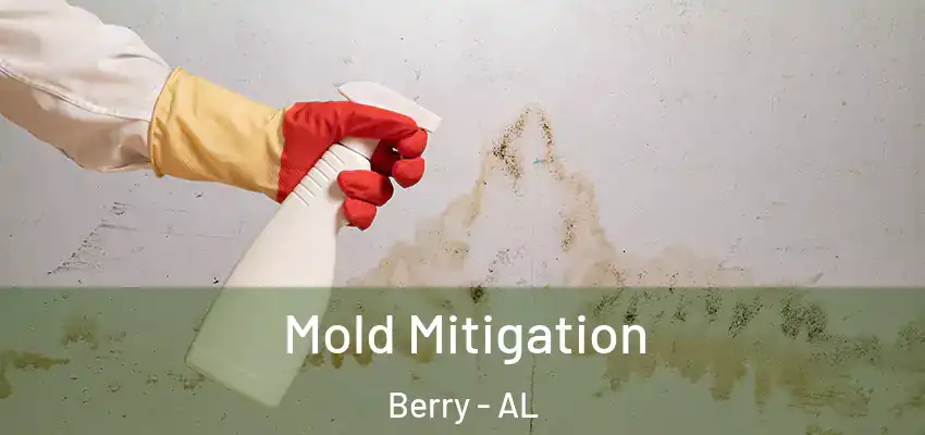  Mold Mitigation Berry - AL