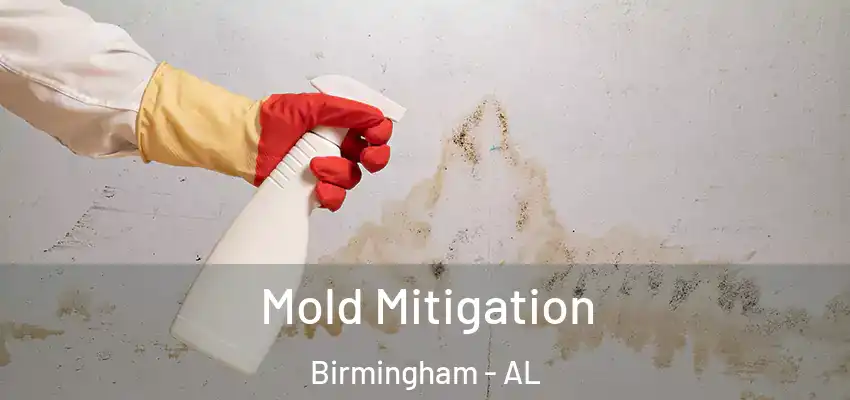  Mold Mitigation Birmingham - AL