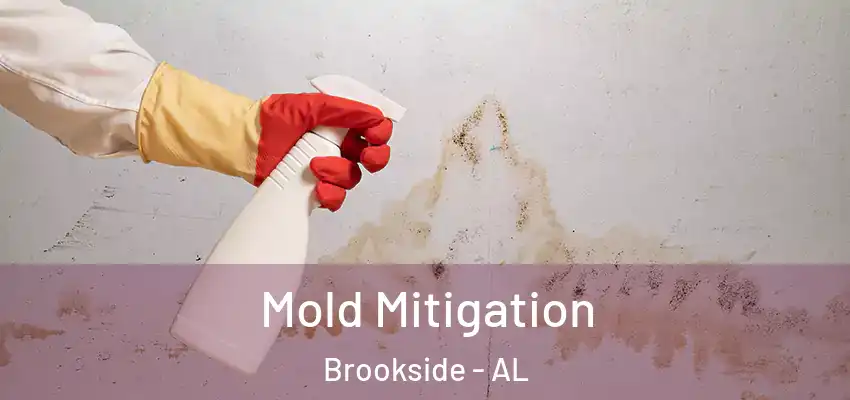 Mold Mitigation Brookside - AL