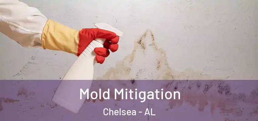  Mold Mitigation Chelsea - AL