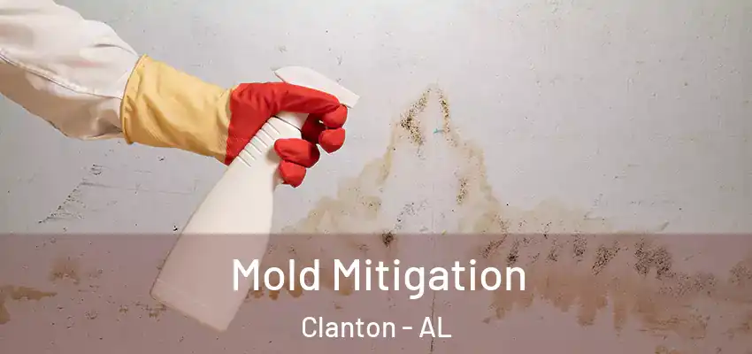Mold Mitigation Clanton - AL