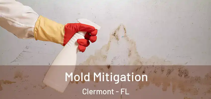  Mold Mitigation Clermont - FL