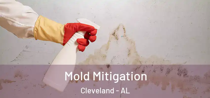  Mold Mitigation Cleveland - AL