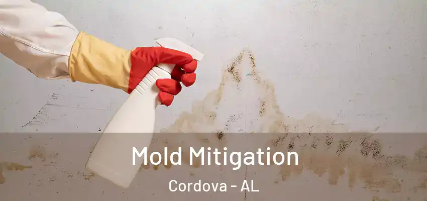  Mold Mitigation Cordova - AL